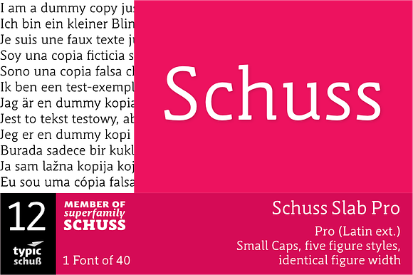 SchussSlabPro No.12 (1 Font) preview 7