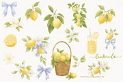 Lemon Garden Collection, a Seasonal Illustration by AlenaVlasko stock Market (Thumbnail 9 of 10)