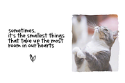 Sunshine Market - Handwritten Font, a Sans Serif Font by KA Designs (Thumbnail 7 of 12)