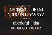 Elonny Minimalist Sans, a Sans Serif Font by Artiveko (Thumbnail 8 of 8)