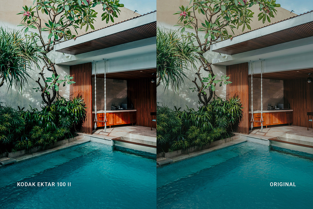 Kodak Ektar 100 II, a Preset Add-On by colorituals (Photo 6 of 8)