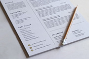 Canva Resume Template, a Resume Template by DesignDevisers (Thumbnail 6 of 10)