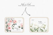 Peony Blush - Watercolor, a Decorative Illustration by ThaismotaCreativeCo (Thumbnail 10 of 11)