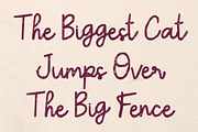 CS Selma Stamp, a Script Font by Craft Supply Co. (Thumbnail 5 of 8)
