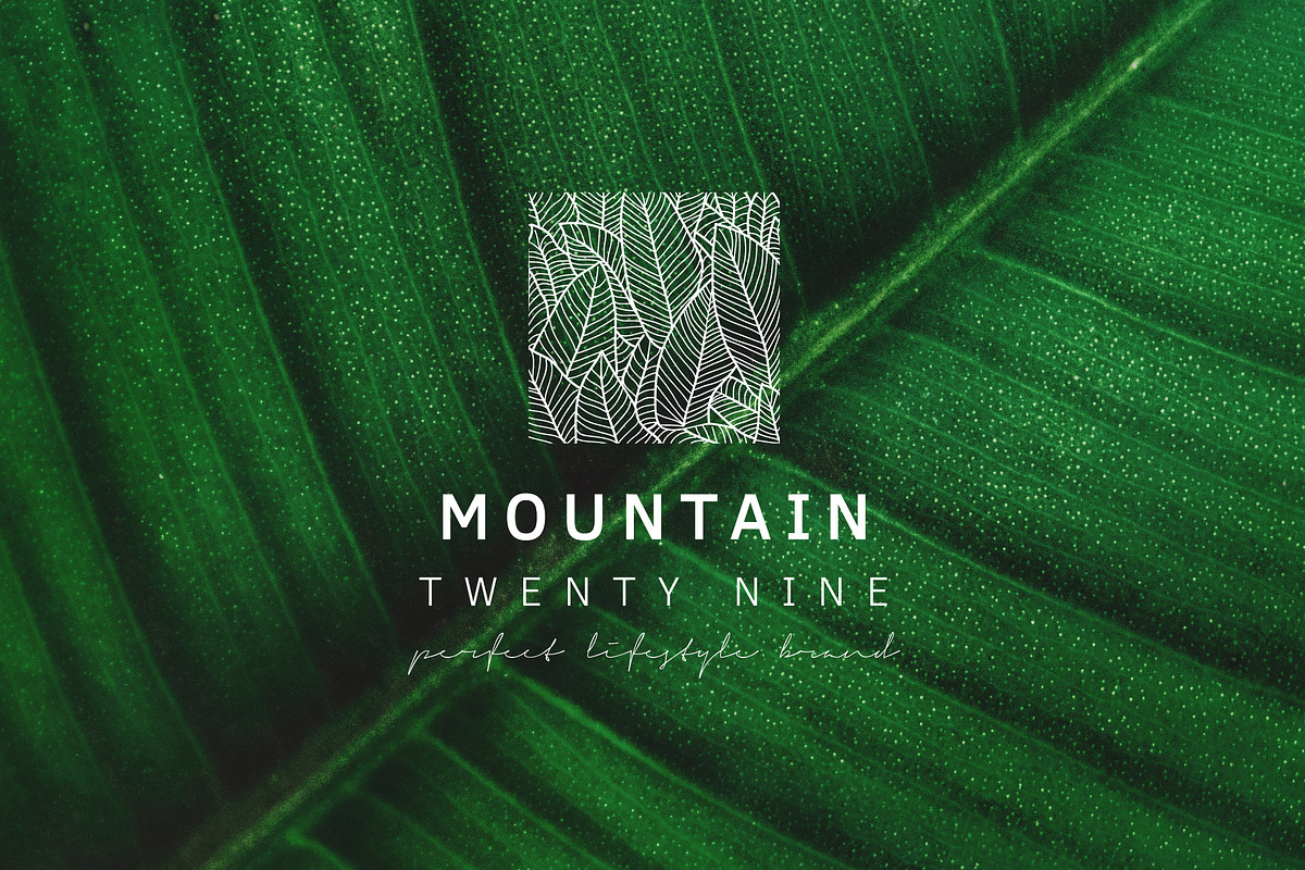 Feminine Branding Premade Logos V02, a Branding & Logo Template by XpertgraphicD (Photo 11 of 13)