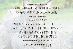 Donkey Script Font