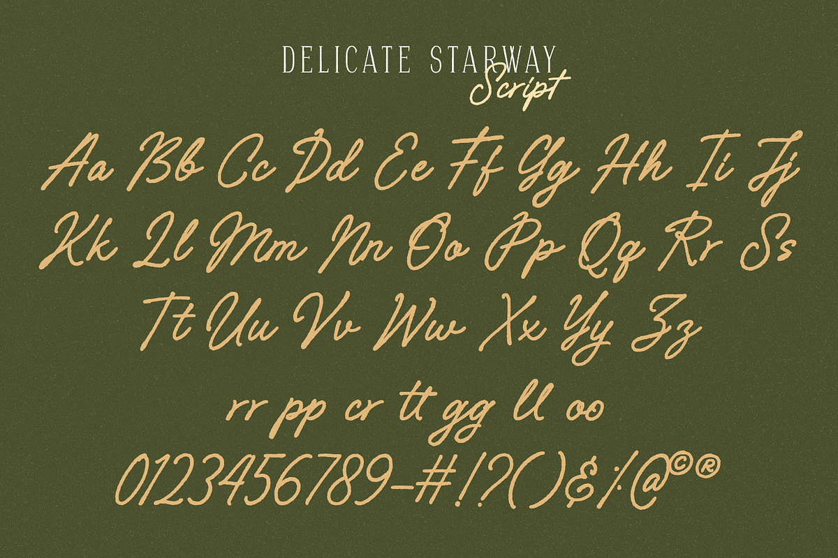 Delicate Starway, a Serif Font by Nathatype (Photo 8 of 11)