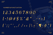 Elegant Serif - Qurellia Salesta, a Serif Font by Say Studio (Thumbnail 12 of 16)