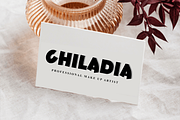 Dancer, a Script Font by InermediaSTUDIO (Thumbnail 8 of 8)