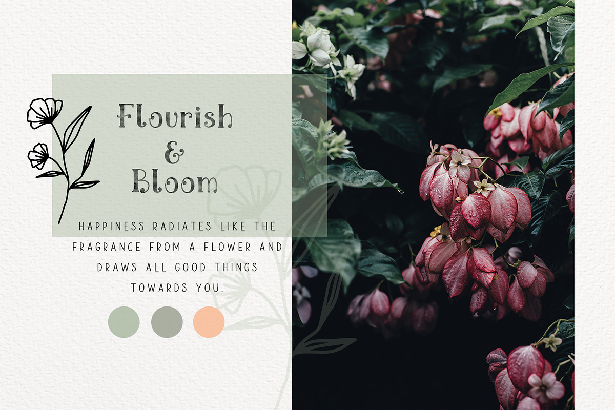 Ciera watercolor svg font & florals preview 2