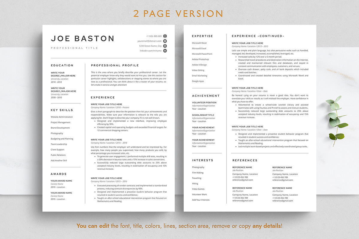 Professional Resume Template, a Resume Template by TheStandOutResume (Photo 3 of 10)
