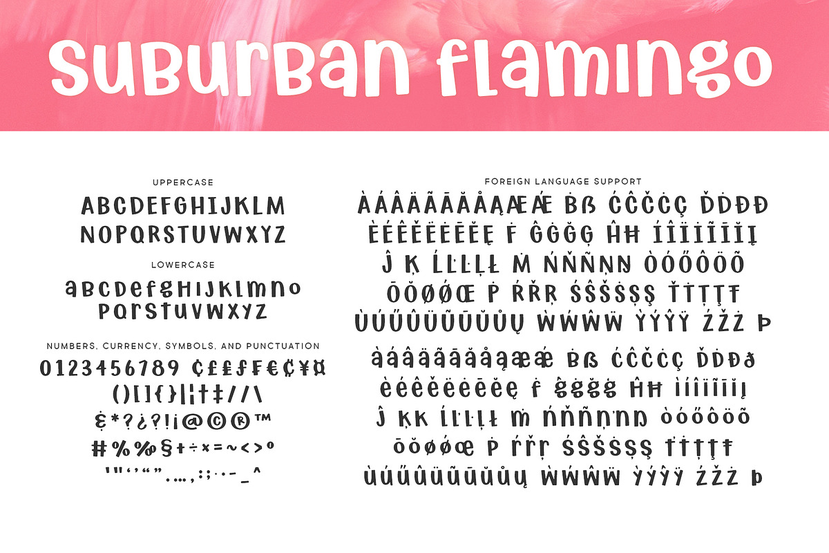 Suburban Flamingo, a Font by Brittney Murphy Design (Photo 2 of 2)