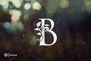 Gold B Letter Logo, a Branding & Logo Template by Bintank Studio (Thumbnail 3 of 3)