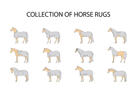 Collection of horse rugs