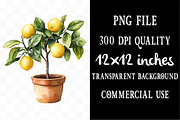 Lemon Watercolor Clipart, an Illustration by Designking (Thumbnail 4 of 5)