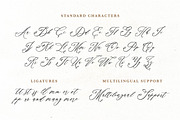 Elorie Calligraphy Script, a Script Font by etigletters (Thumbnail 10 of 12)