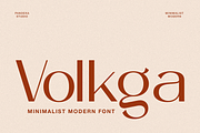 Volkga - Minimalist Skincare Font, a Sans Serif Font by Pandeka Studio (Thumbnail 1 of 8)