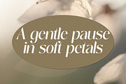 Nisanbel, a Sans Serif Font by Pista Mova (Thumbnail 16 of 22)