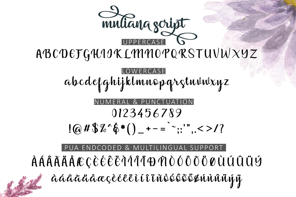 Muliana script preview 2