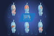 Systems Human Body Anatomy set, a Healthcare Illustration by Alltruecolours (Thumbnail 4 of 5)