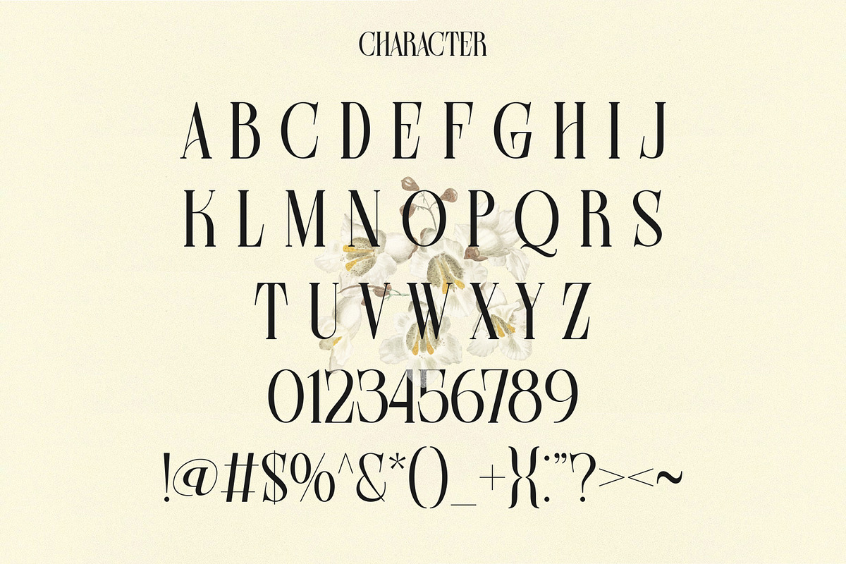 Farqey Denours Serif Font, a Serif Font by Heinzel Std (Photo 10 of 19)
