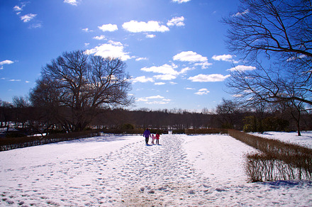 Winter Journey