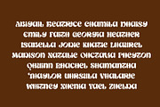 Salish Lodge Display Typeface, a Serif Font by RantautypeStudio (Thumbnail 11 of 15)