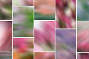 Etudes in Bloom - Blurry Backgrounds, a Background Graphic by Dina Mae (Thumbnail 3 of 13)