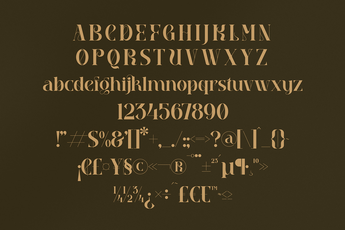Qebil Stylish Display Font, a Serif Font by Storytype Studio (Photo 12 of 15)