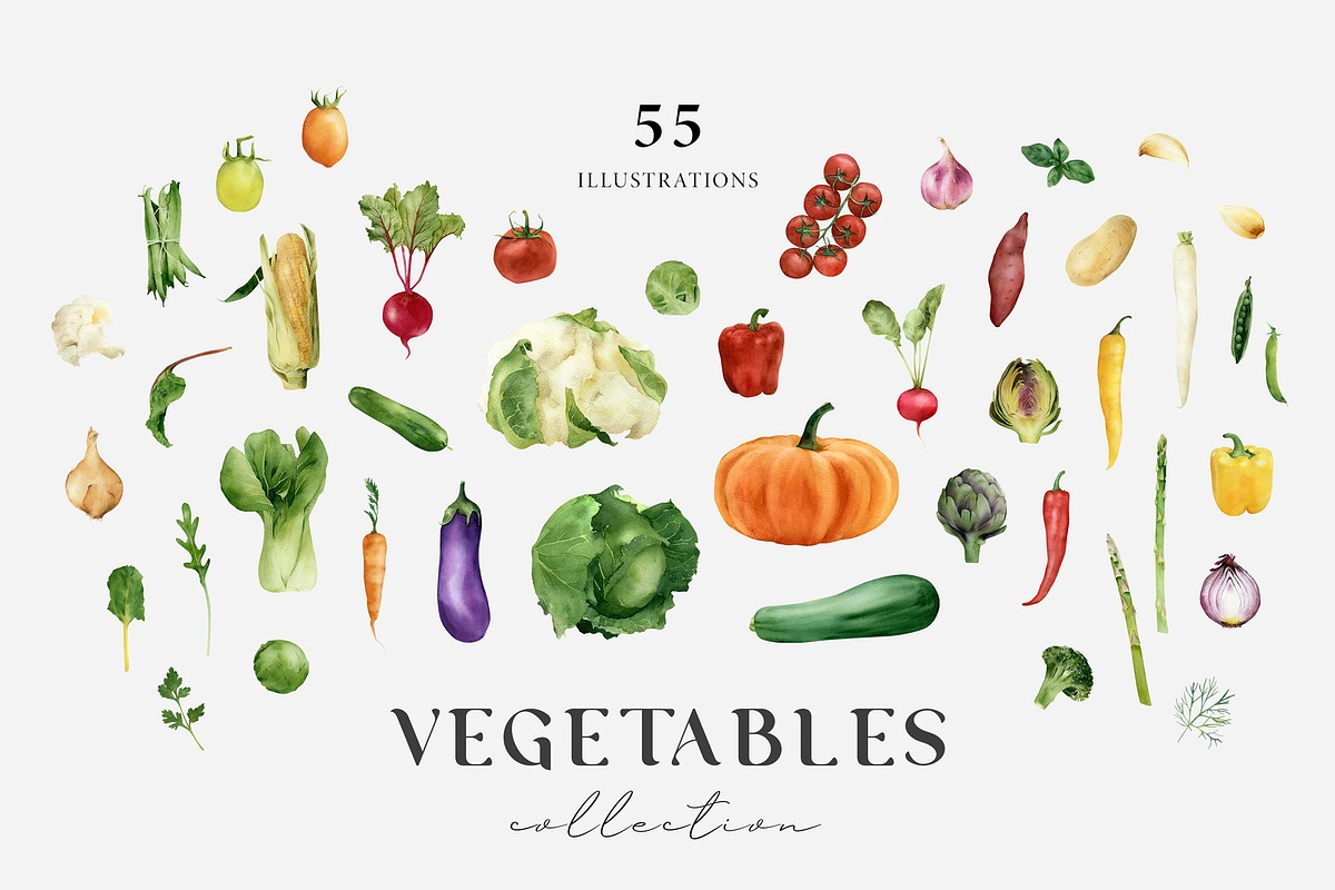 Vegetable illustration. Organic food, a Food Illustration by Diana Askarova Art (Photo 1 of 6)