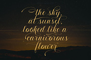 Gofienda, a Script Font by alit design (Thumbnail 8 of 17)