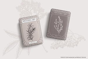 Apothecary Plants & Herbs Vector Set