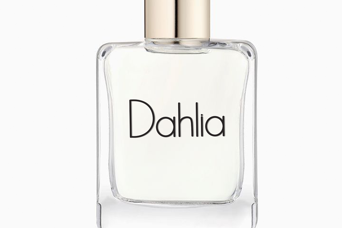 Simple Aesthetic, a Sans Serif Font by FreshTypeINK (Photo 4 of 8)