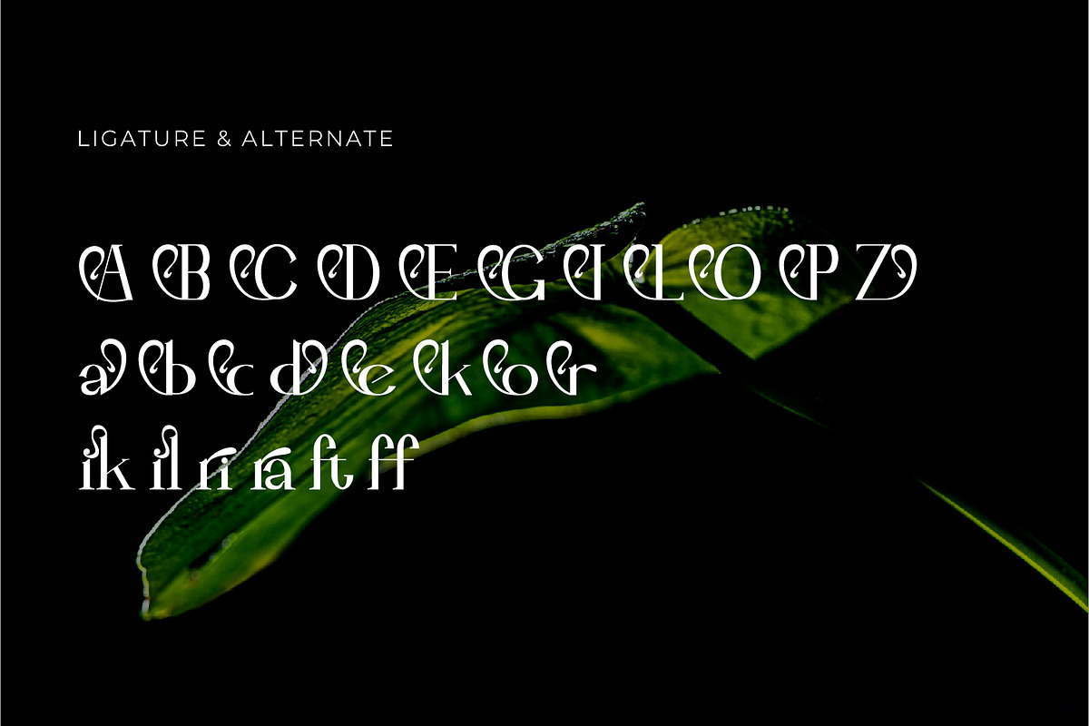 Leubrik - Serif Typeface Font, a Serif Font by Rishsketch (Photo 12 of 15)