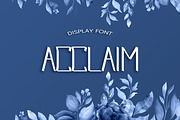 Acclaim Summer Font, a Script Font by DmDesignsStoreArt (Thumbnail 1 of 2)