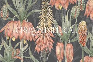 Exotic Flowers Patterns&Motifs