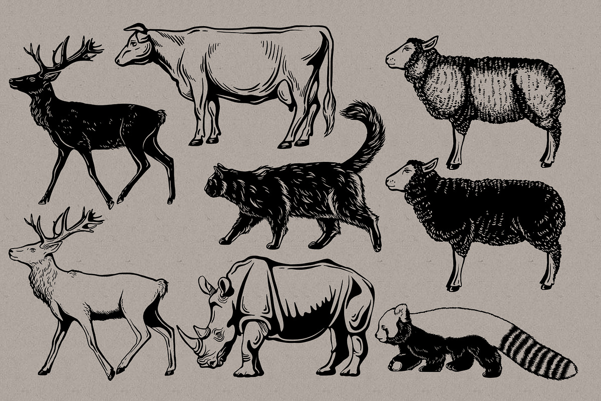 Linocut Zoo, Animal illustrations, an Animal Illustration by Garden in frame (Photo 6 of 7)