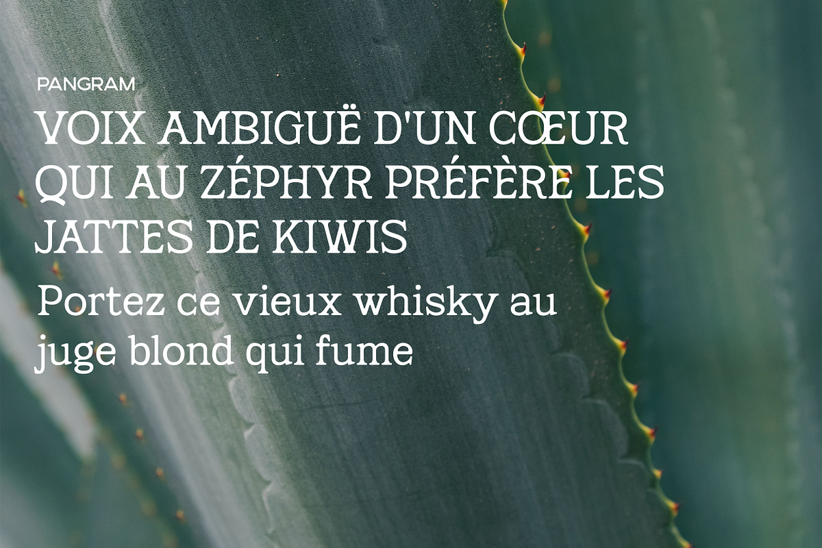 Marzena Display Font, a Slab Serif Font by Hishand Studio (Photo 10 of 10)