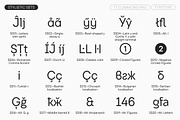 TT Commons Pro Basic, a Sans Serif Font by TypeType (Thumbnail 14 of 15)