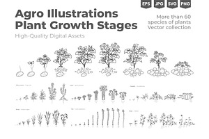 Plant Growth Stages
