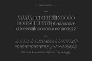 March & Amorist - Elegant Font Duo, a Serif Font by ClevUs (Thumbnail 13 of 13)