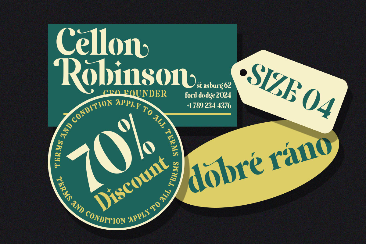 Agitan Display Font, a Serif Font by Areatype (Photo 7 of 11)