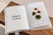 Morphins | Display Serif, a Serif Font by Pentagonistudio (Thumbnail 8 of 11)