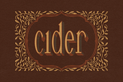 OAKLANE by Natasha Reddy, a Serif Font by Natasha Reddy Studio (Thumbnail 5 of 10)