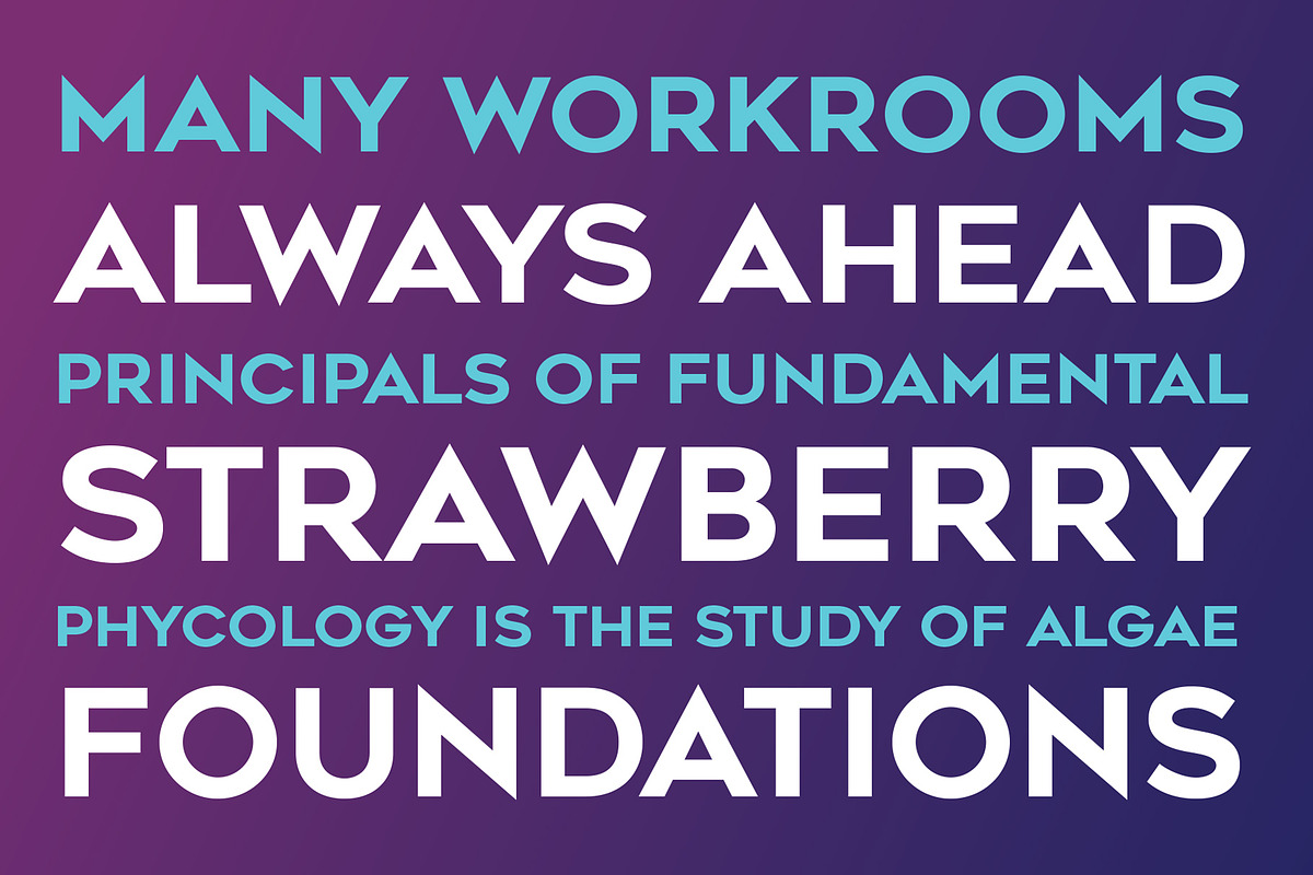 Renogare Font, a Sans Serif Font by Graphite_Studios (Photo 2 of 5)