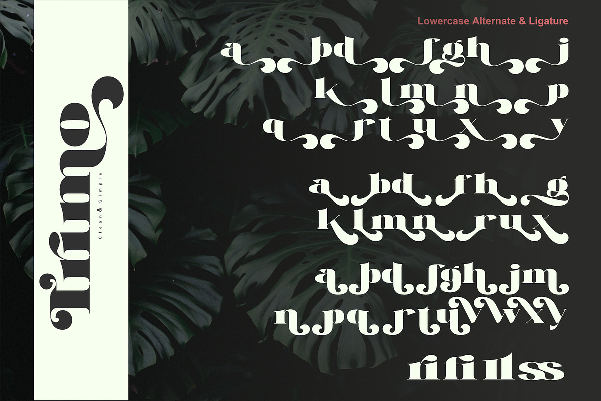 Trimo, a Serif Font by Khoir (Photo 11 of 12)