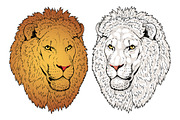 LIONS set, an Animal Illustration by Tanya Akhmett (Thumbnail 3 of 5)