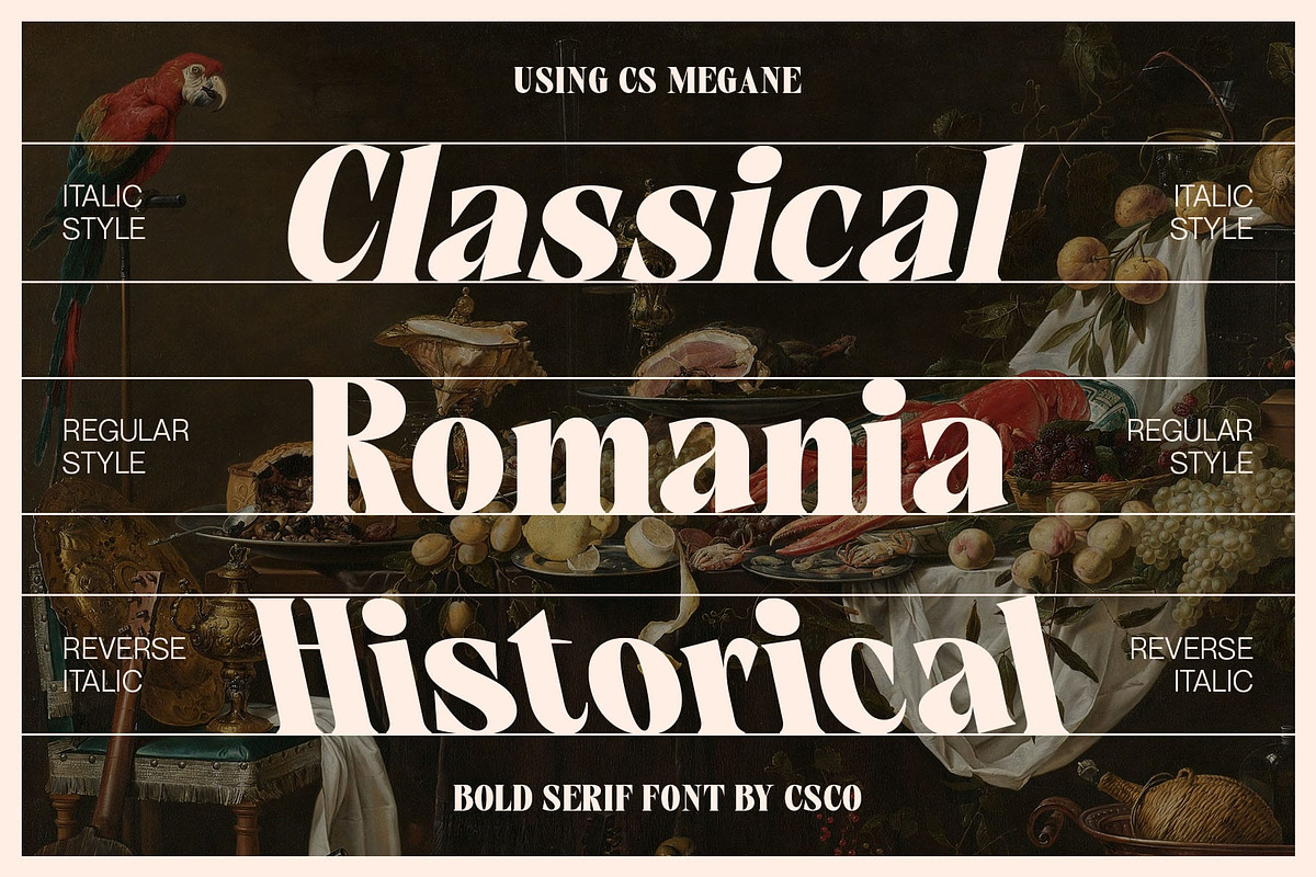 CS Megane – Bold Font, a Serif Font by Craft Supply Co. (Photo 2 of 8)