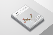 US Letter Magazine Mockup, a Books & Magazine Mockup by Mockupdaddy (Thumbnail 7 of 18)