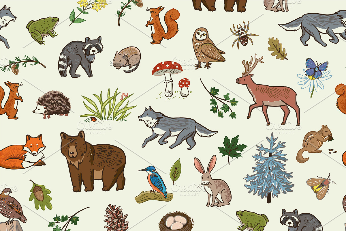Woodland Alphabet, an Animal Illustration by GooseFrol (Photo 6 of 10)